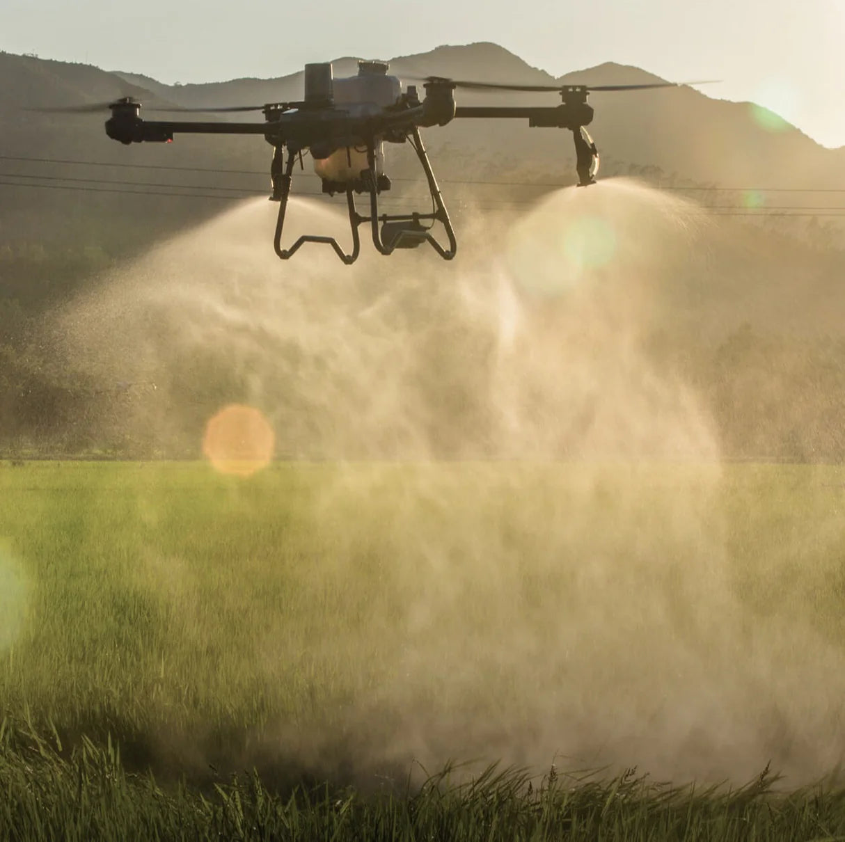 DJI Agras T25P - Drone agricole performant