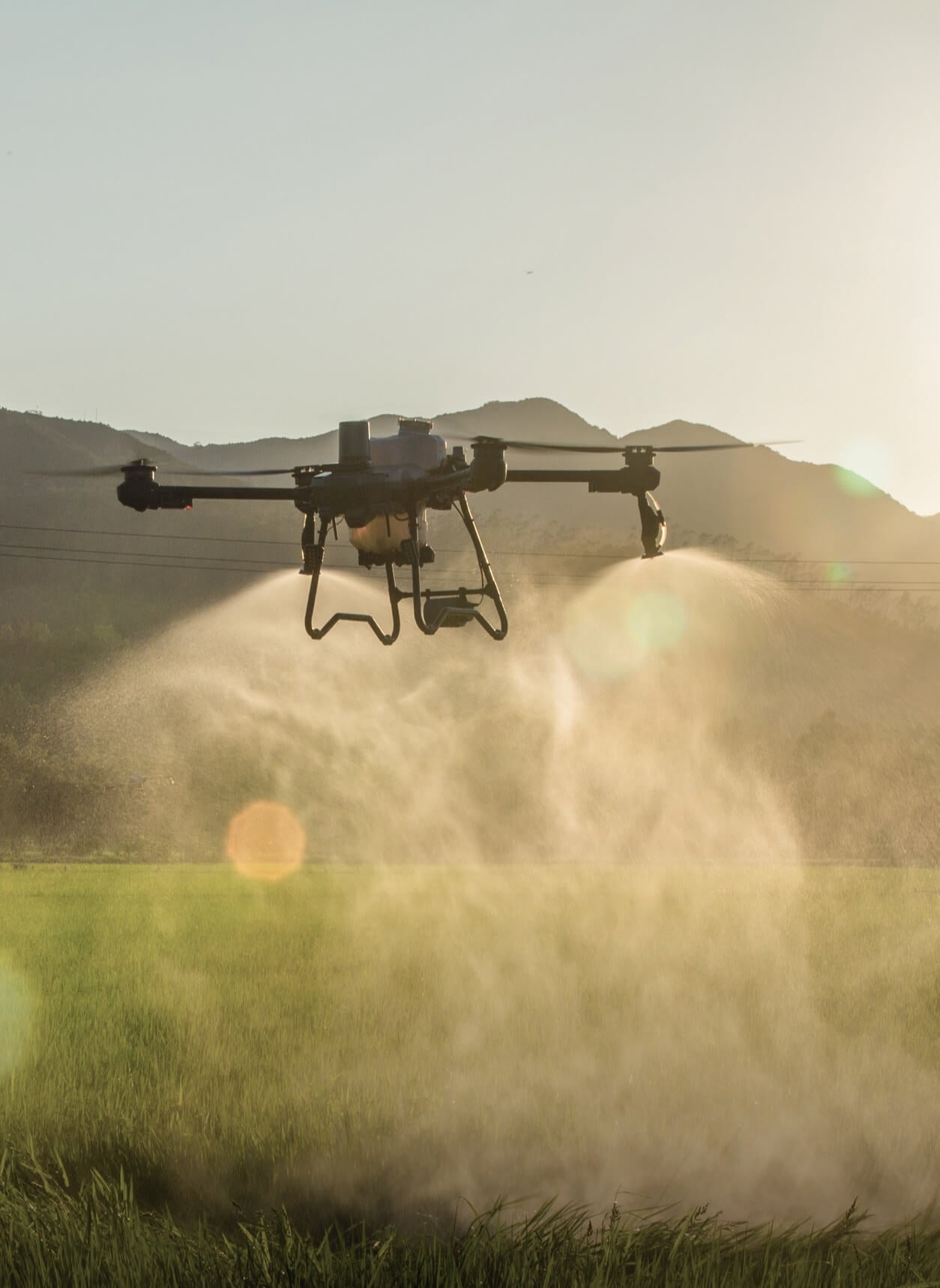 DJI Agras T25P - Drone agricole performant