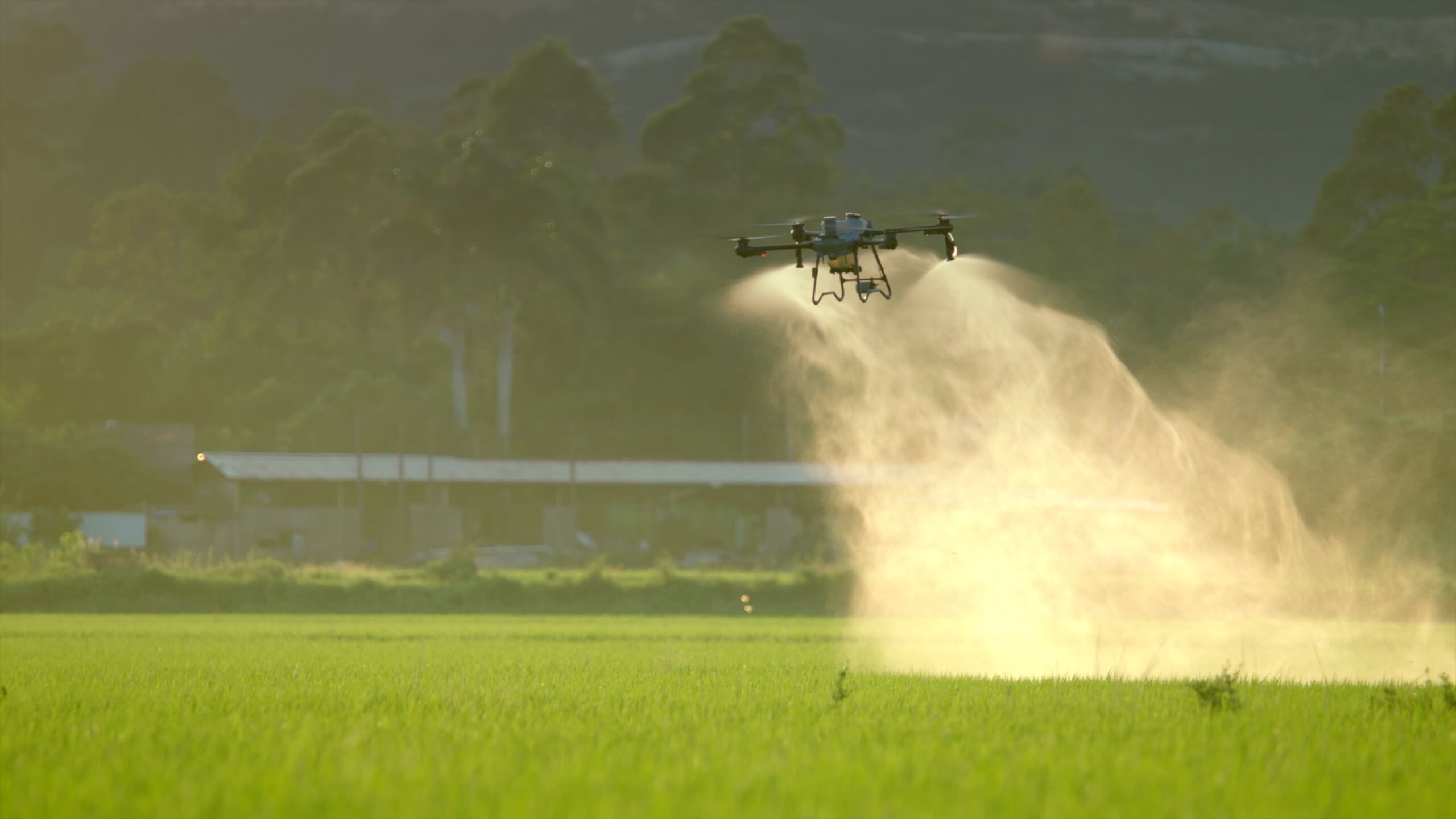 DJI Agras T25P - Drone agricole performant