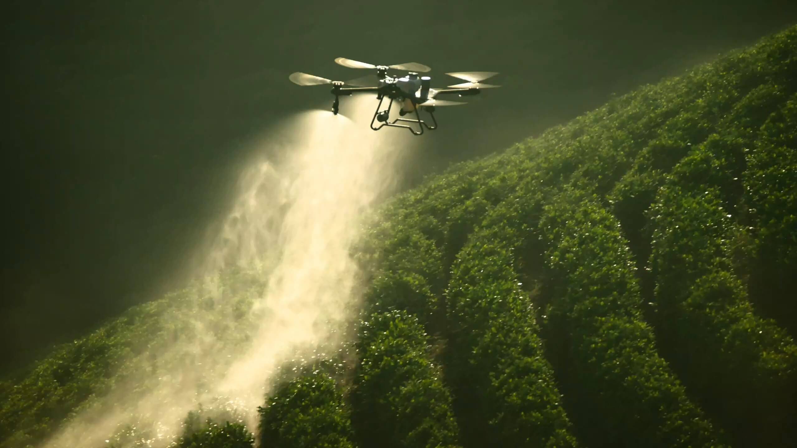 DJI Agras T25 - Drone agricole compact et intelligent