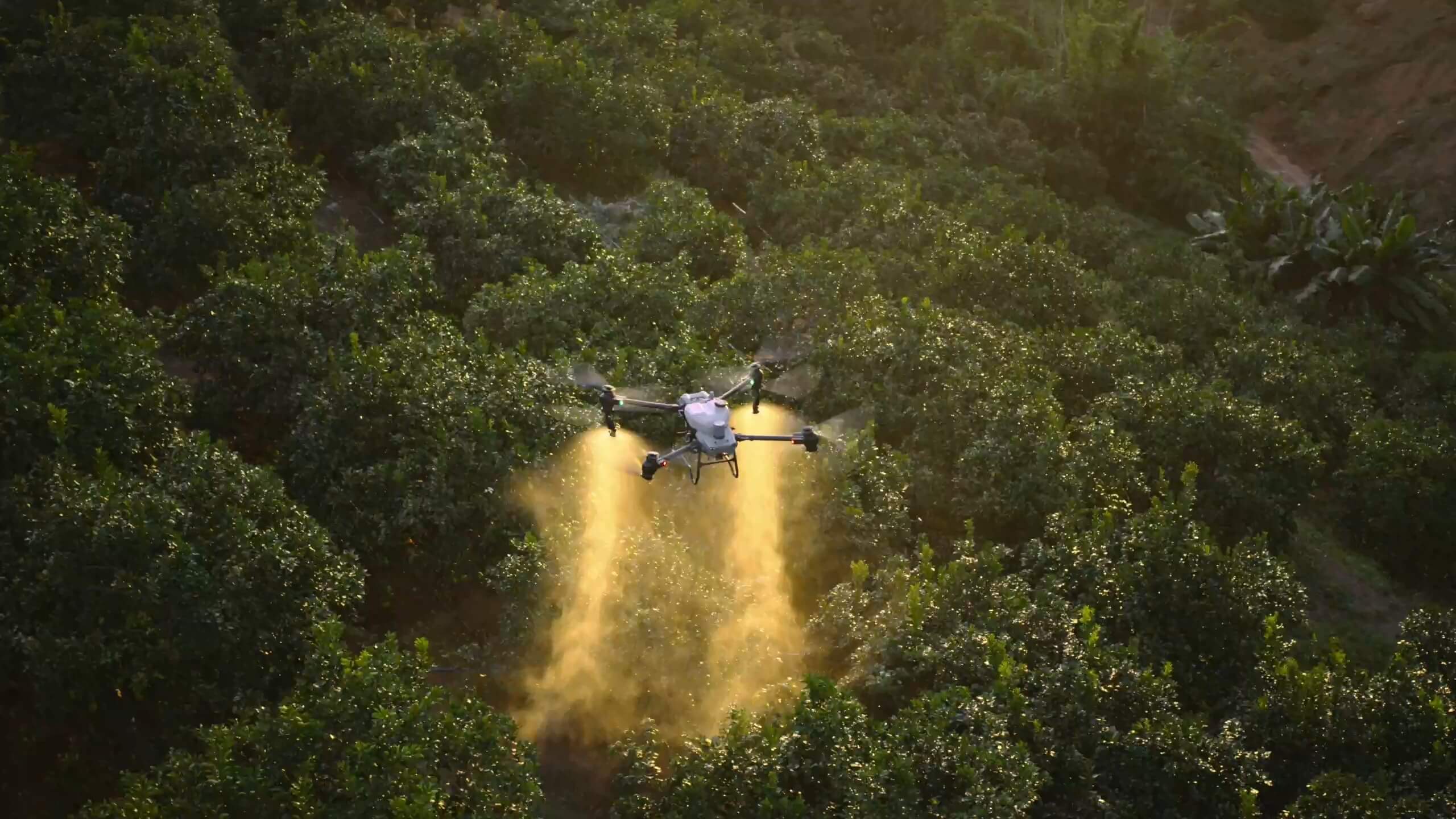 DJI Agras T50 - Drone agricole polyvalent