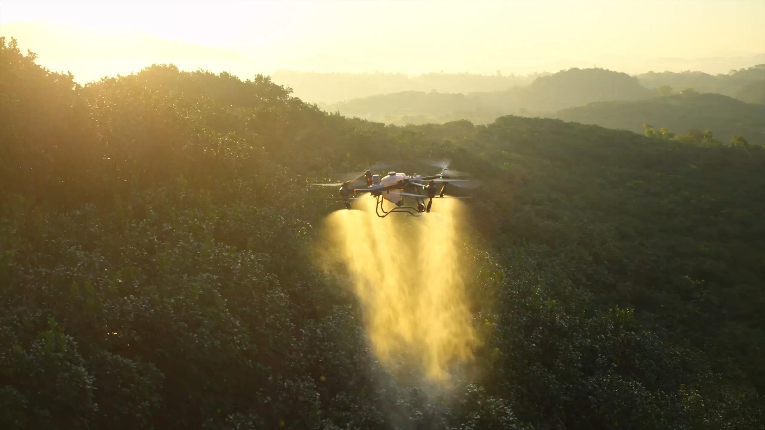 DJI Agras T50 - Drone agricole polyvalent