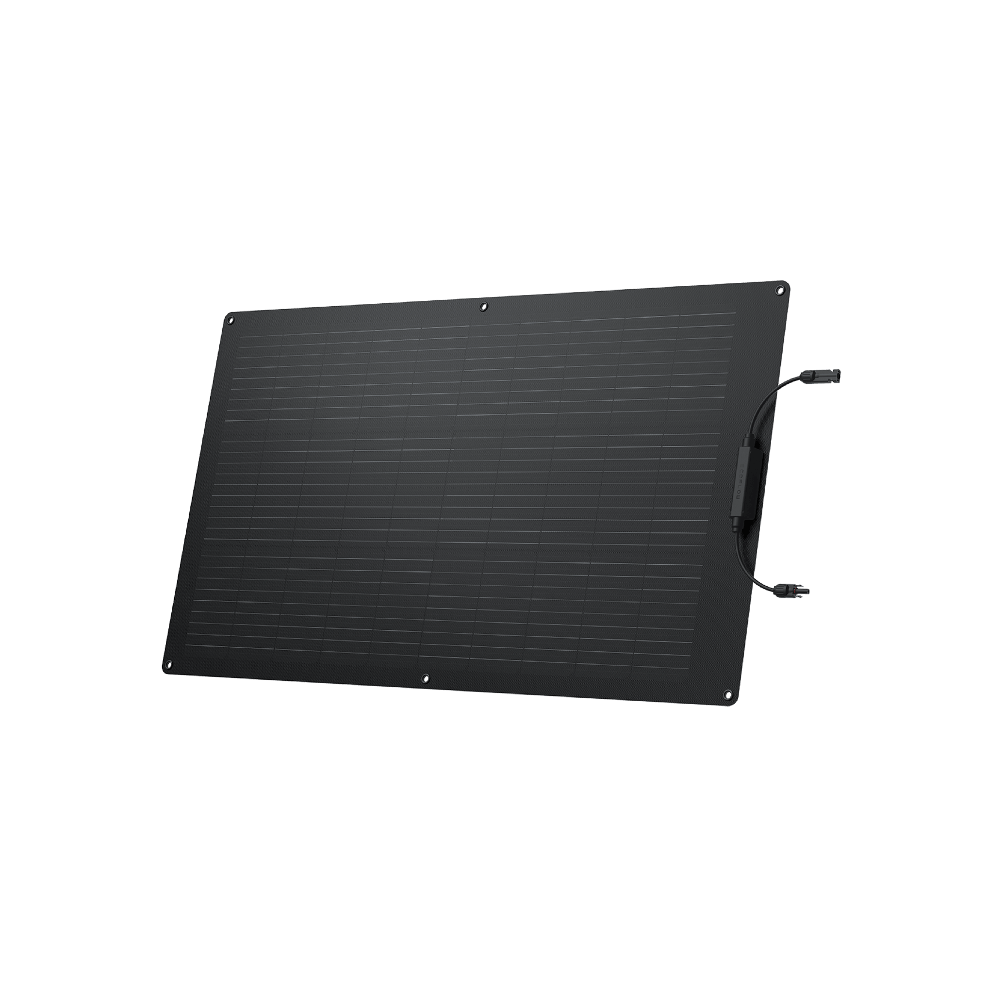 EcoFlow 100W Panneau Solaire Flexible