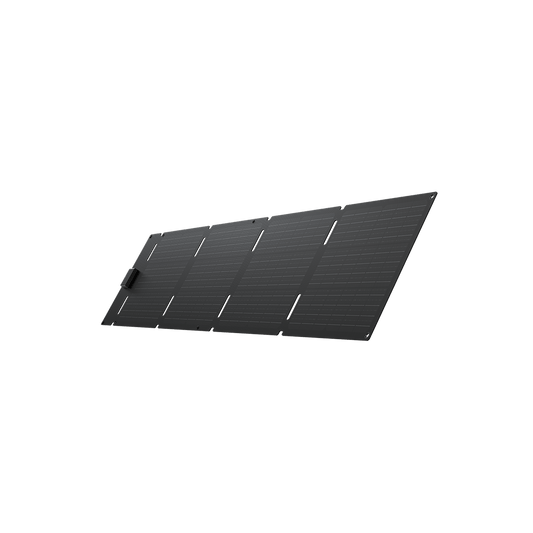 EcoFlow 60W Panneau Solaire Portable (Type-C)