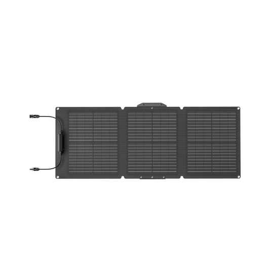 EcoFlow 60W Panneau Solaire Portable (Type-C)
