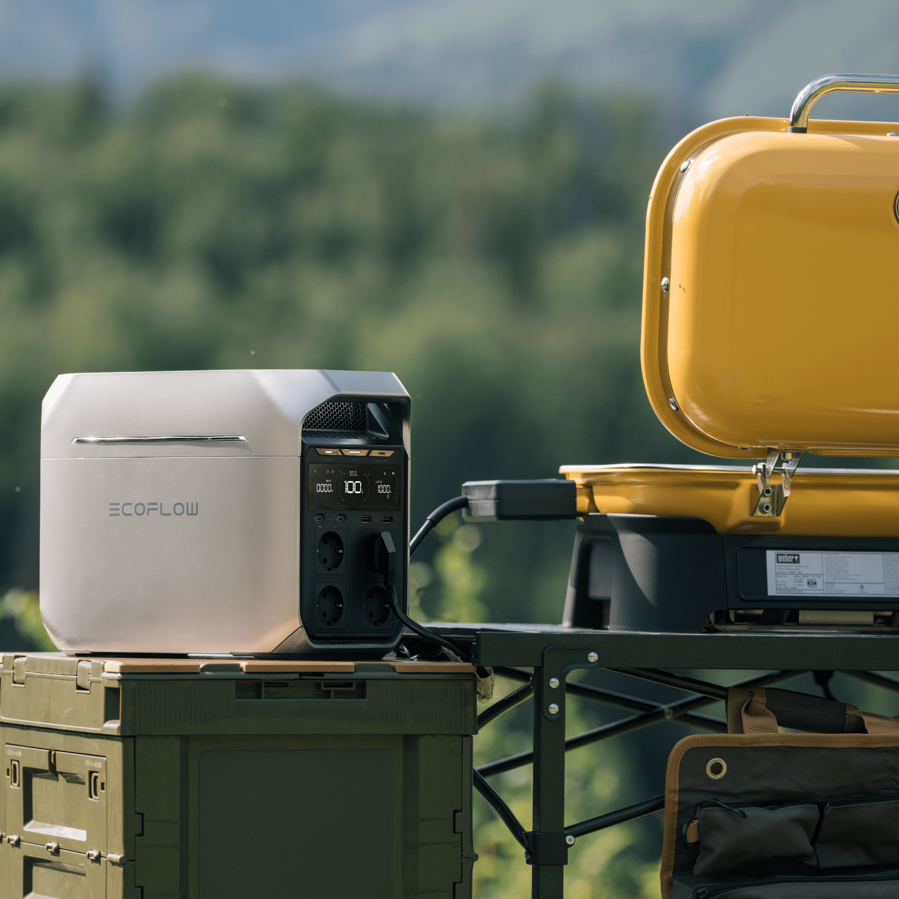 EcoFlow DELTA 3 Plus Station d'énergie portable