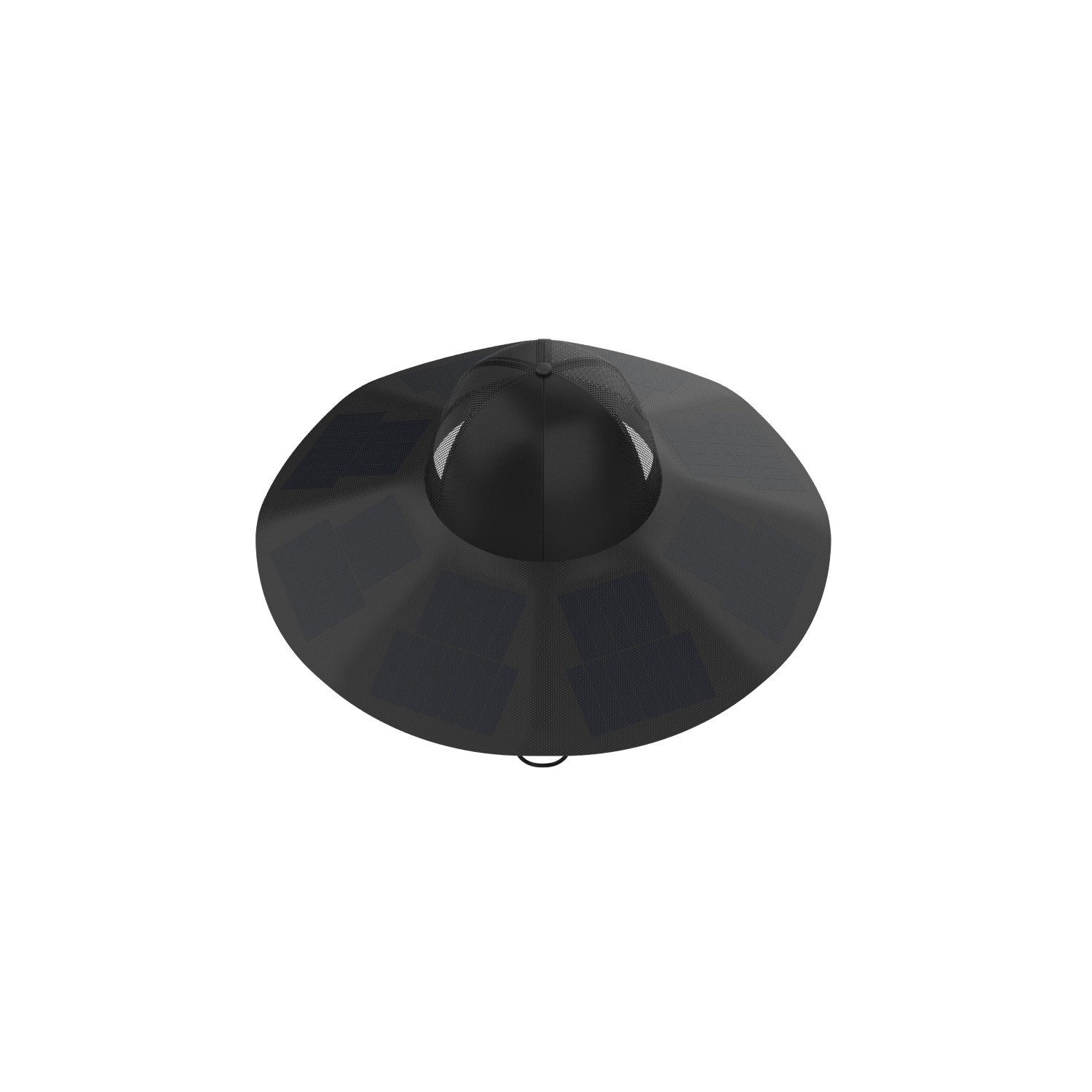 EcoFlow Power Hat 12W M/L