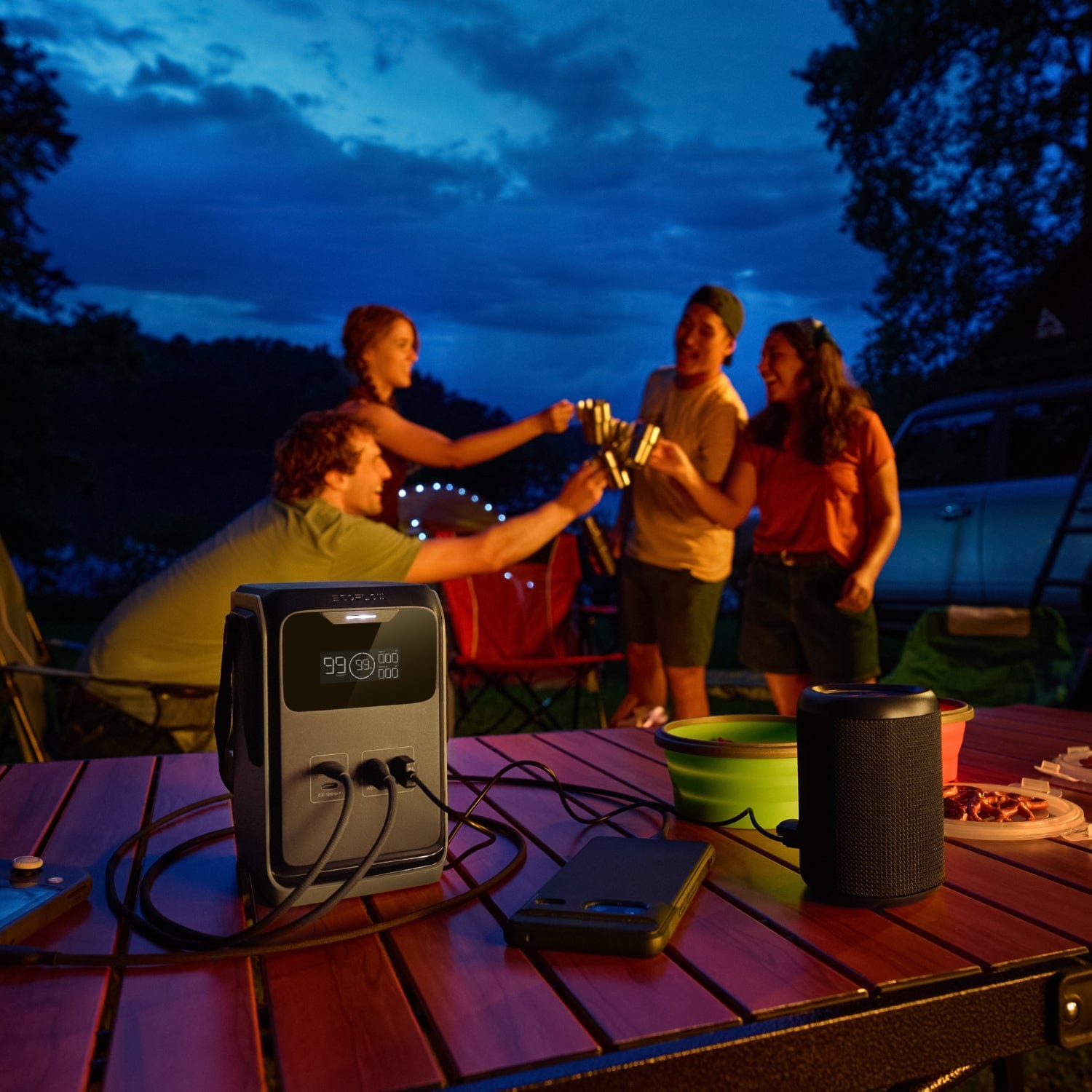 EcoFlow TRAIL 300 DC Station d'énergie portable