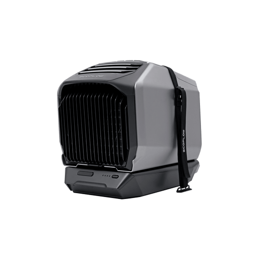 EcoFlow Wave 2 Nylon Cable and Support Frame