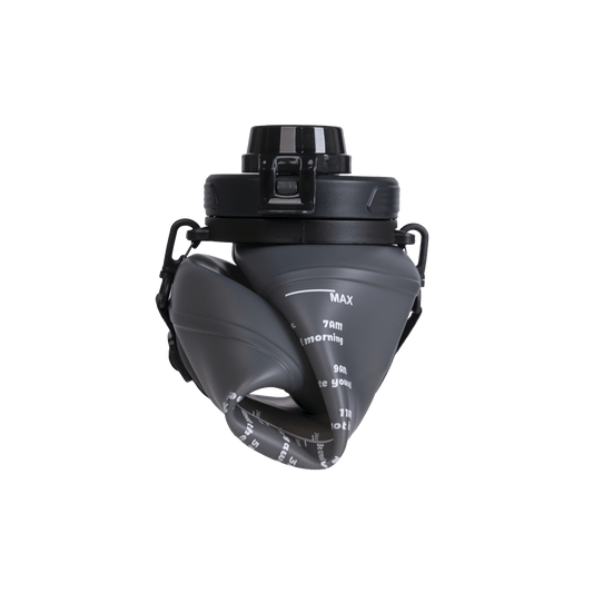 EcoFlow Prise Intelligente AC/DC